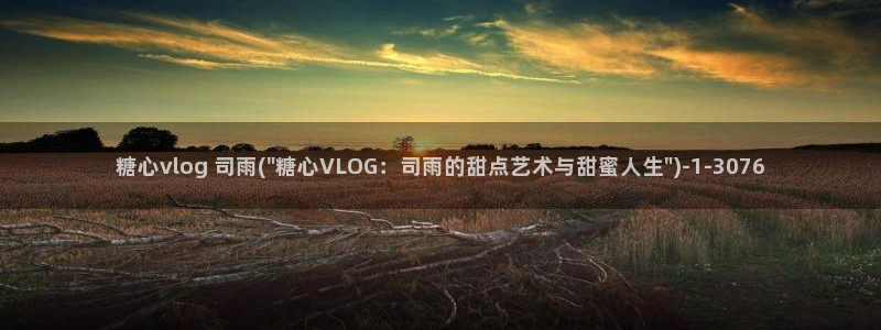 糖心vlog评价:糖心vlog 司雨(\