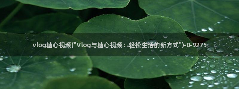 糖心vlog小二:vlog糖心视频(\