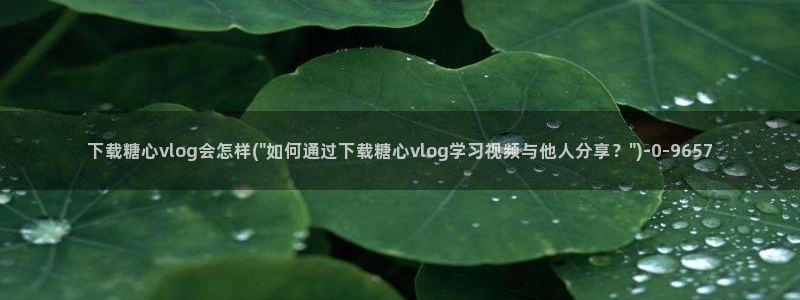 糖心vlog代码:下载糖心vlog会怎样
